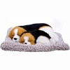 Beagle Dog Car Dashboard Decorative Statues Beagle Dog Car Dashboard Decorative Statues
