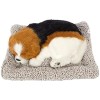 Beagle Dog Car Dashboard Decorative Statues Beagle Dog Car Dashboard Decorative Statues