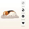 Beagle Dog Car Dashboard Decorative Statues Beagle Dog Car Dashboard Decorative Statues