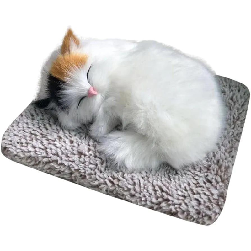 Funny Sleeping Cat Decorative