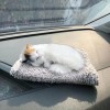 Funny Sleeping Cat Decorative